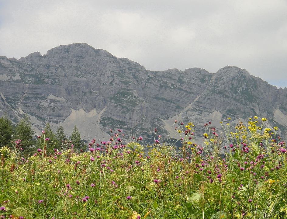 Wandelroute Slovenska Planinska Pot, Karawanken