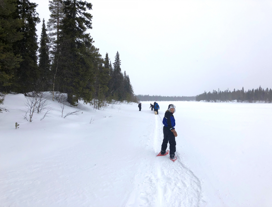 Zweeds Lapland wintersport sneeuwschoenwandelen