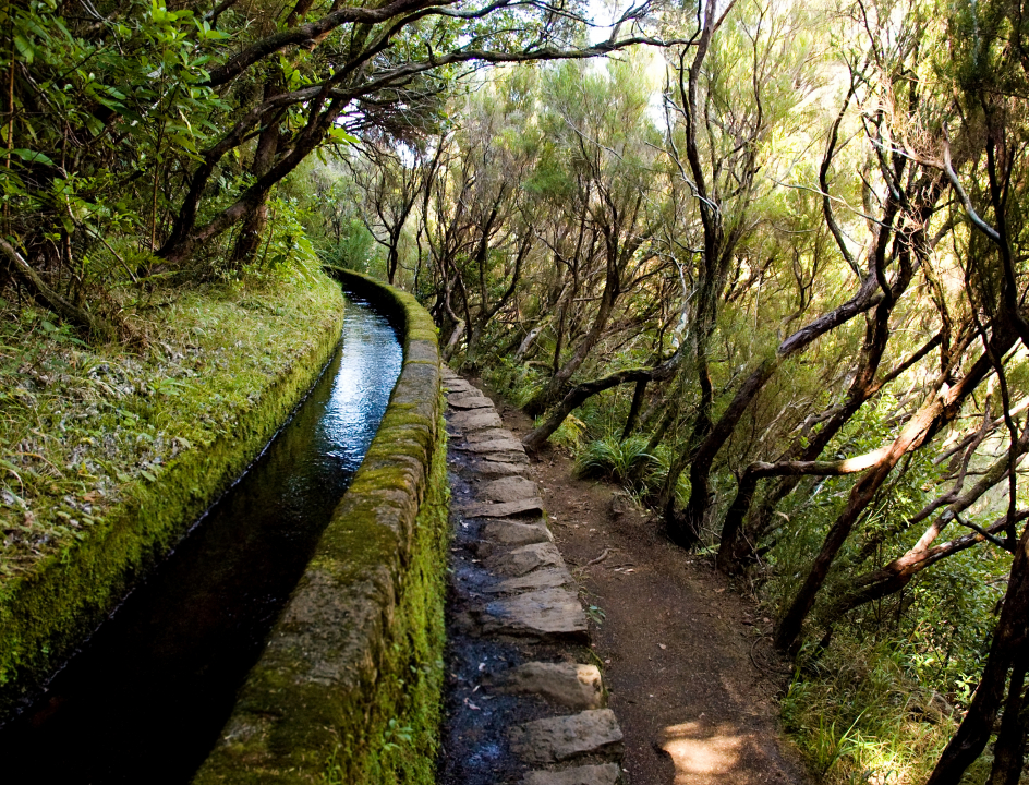 Wandelen op Madeira