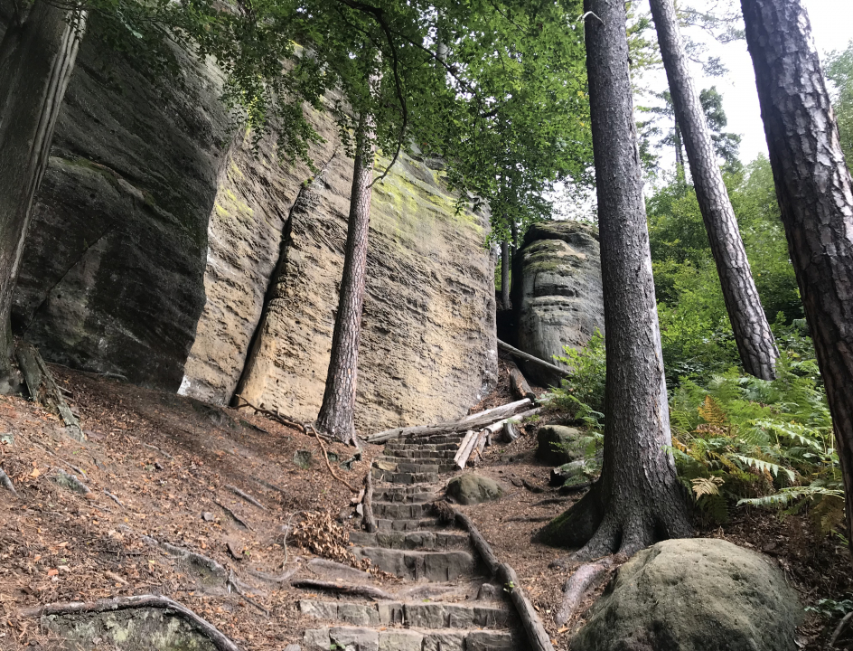 Boheems Zwitserland, Edwin Otto, Tsjechië, bospad, bos