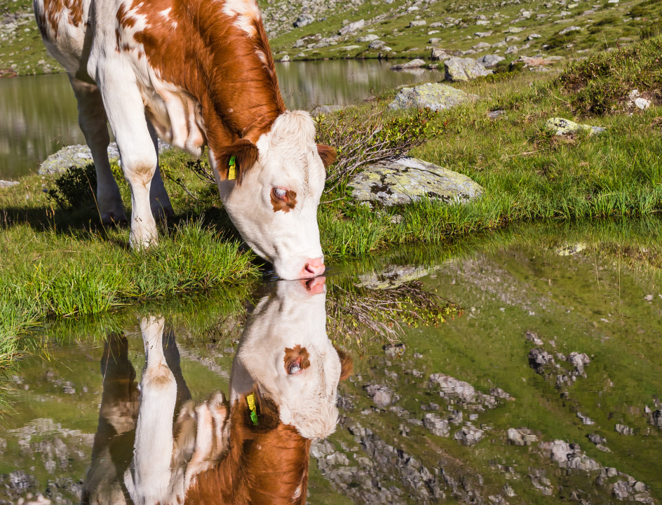 Wandelen Oostenrijk Schladminger Tauern