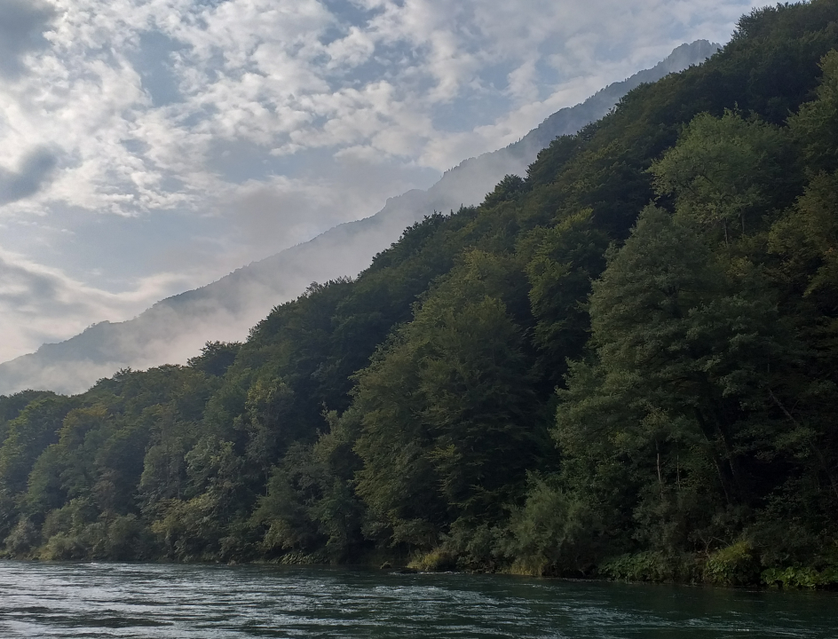 Wandelen in Bosnie en Herzegovina Tara kloof
