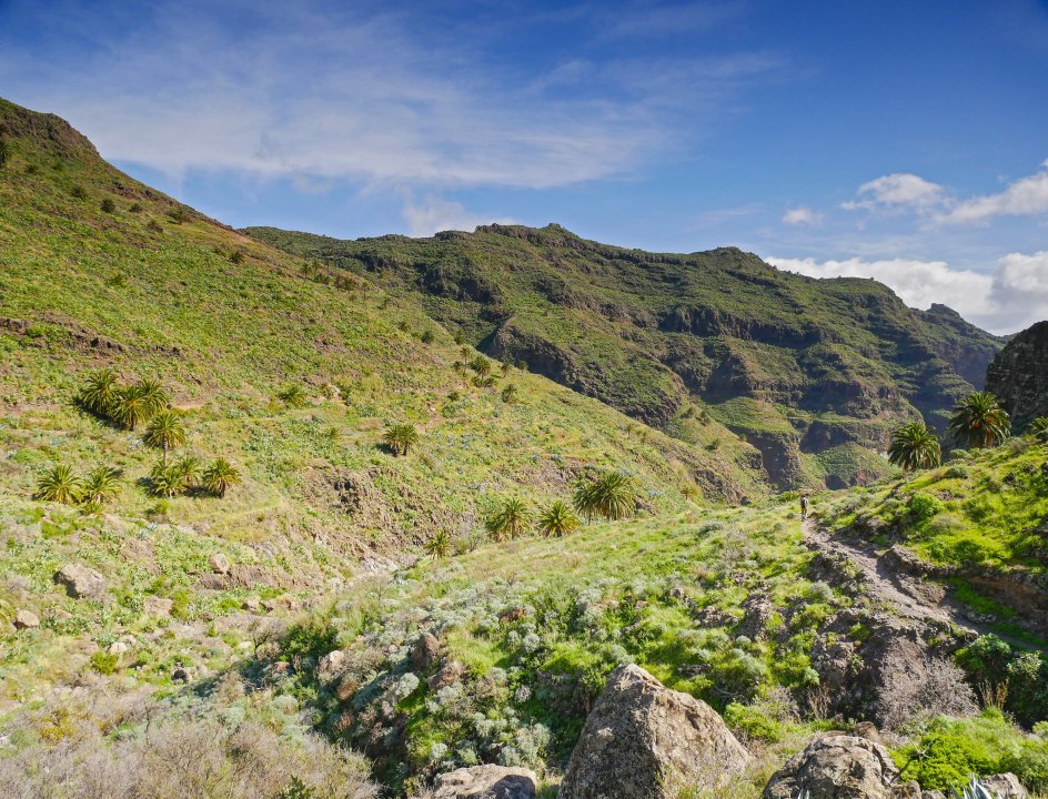 Wandelen op La Gomera