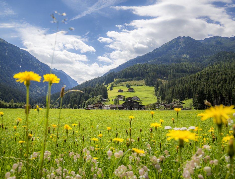 Fietsroute Tauern Radweg Oostenrijk