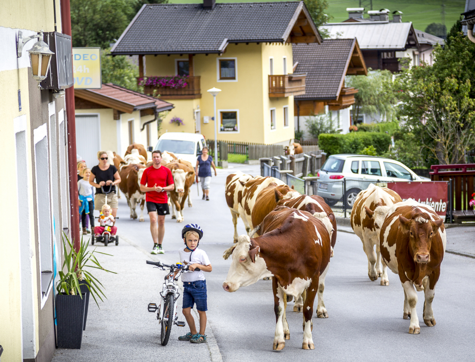 Fietsroute Tauern Radweg Oostenrijk