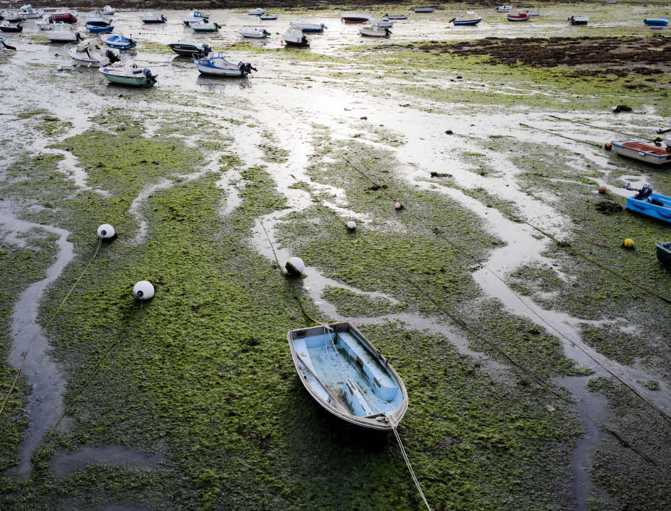 Wandelen in Normandie