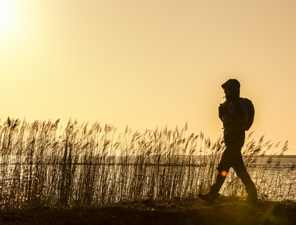 Wandelen Zuiderzeepad LAW-8