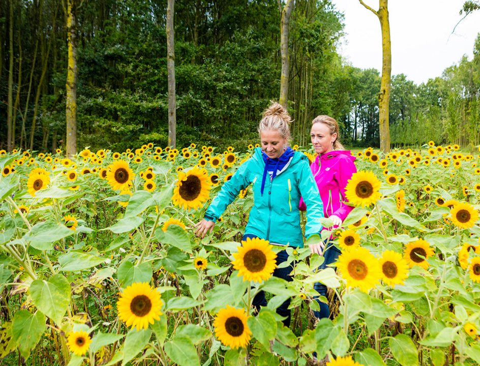 Wandelen Maarten van Rossumpad LAW-4