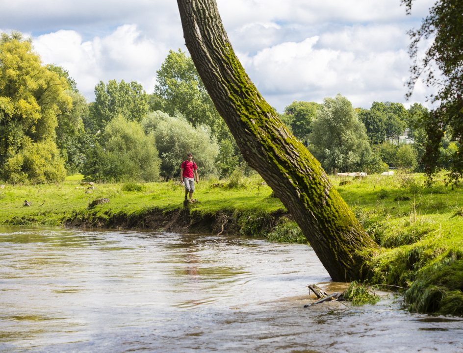 Wandelen Geuldal Zuid-Limburg