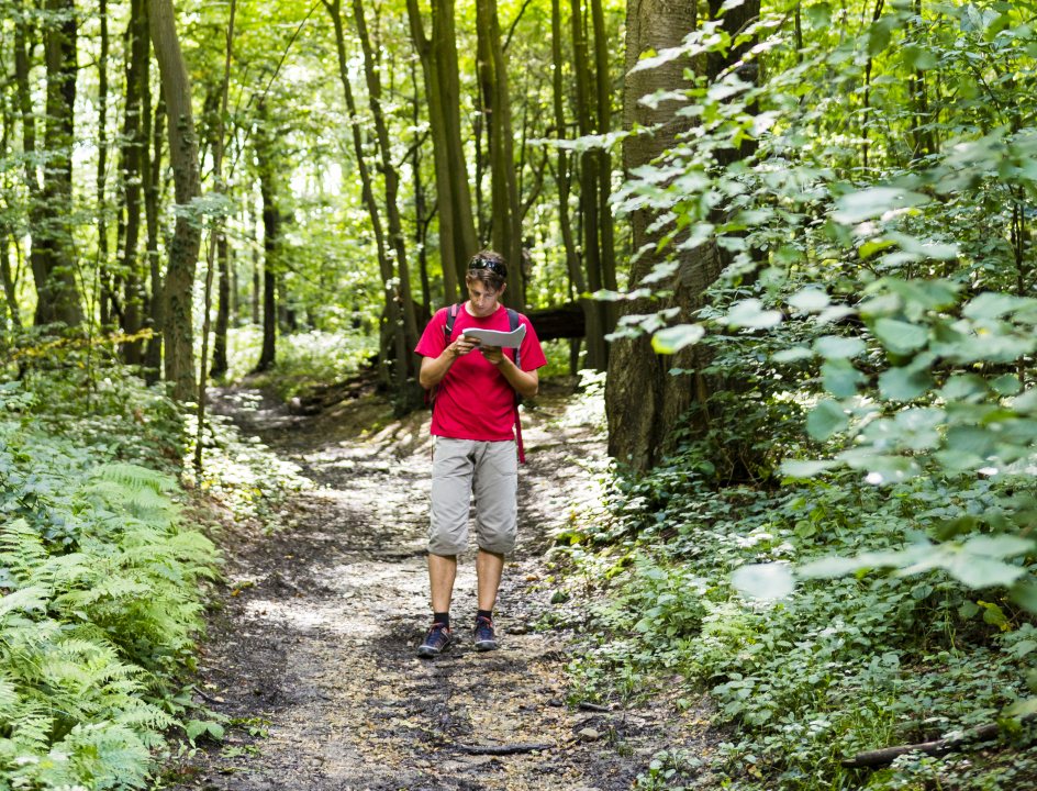 Wandelen Zuid-Limburg