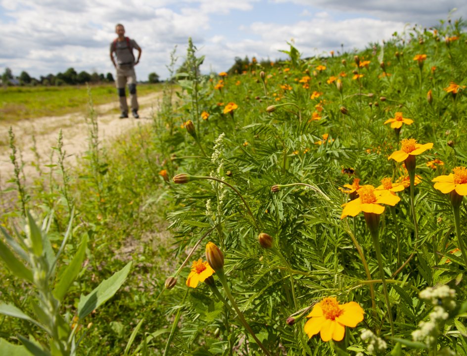 De Brand & Drunense Duinen