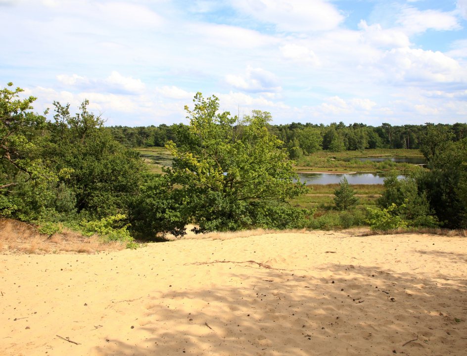 Edelherttrail Traject 3 Maas