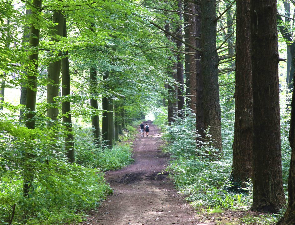 Edelherttrail Traject 3 Maas