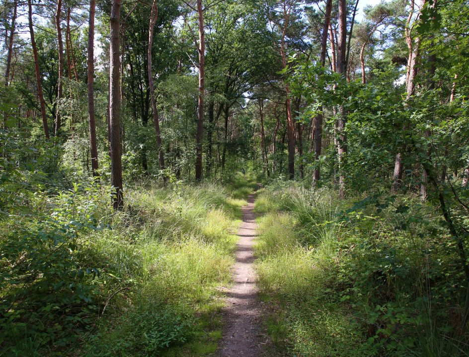 Edelhertrail Traject 4 Zuid-Limburg