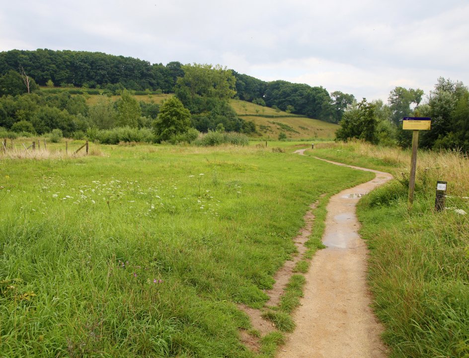 Edelhertrail Traject 4 Zuid-Limburg