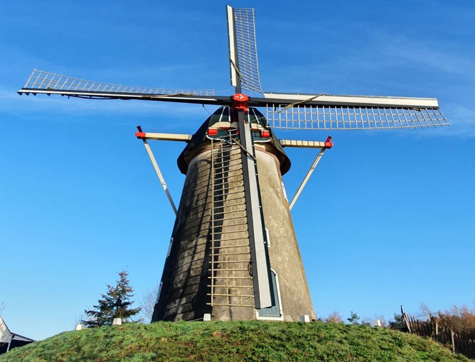 Hernense en Leurse Bos