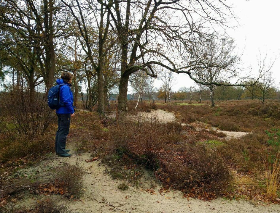 Wanderroute Lage Vuursche