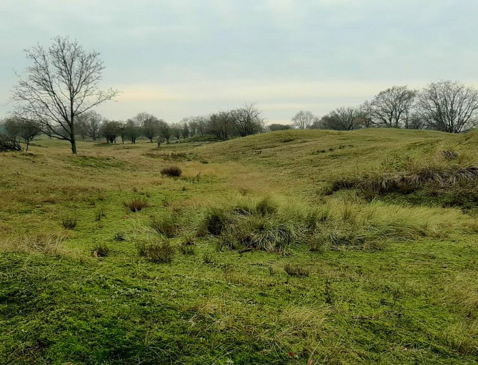 Wandelen Waterleidingduinen