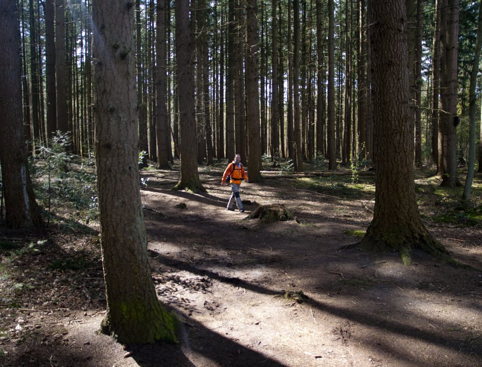 HeuvelrugHike wandelroute Utrechtse Heuvelrug