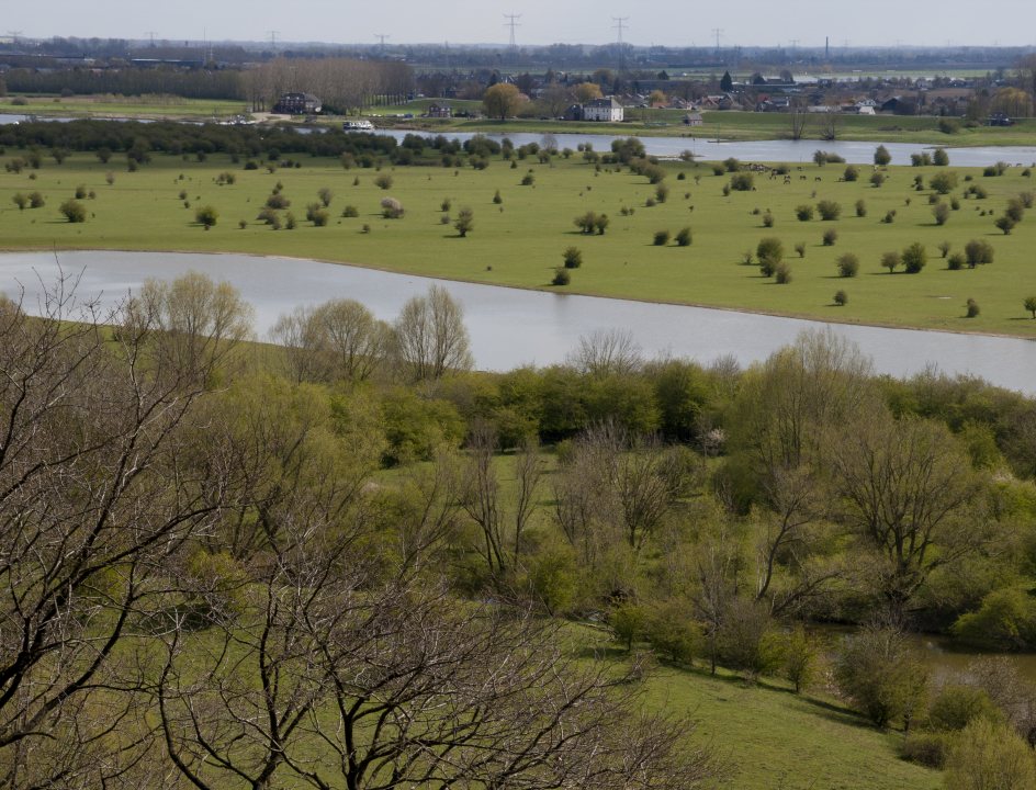 HeuvelrugHike wandelroute Utrechtse Heuvelrug