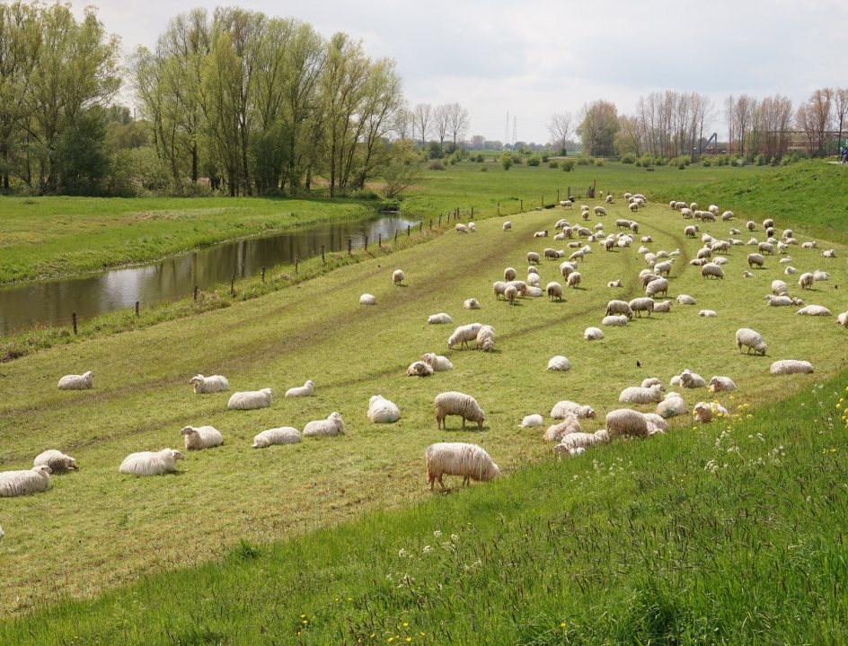 Fietserpad fietsroute