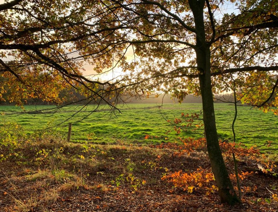 groote slink bunthorst wandelen
