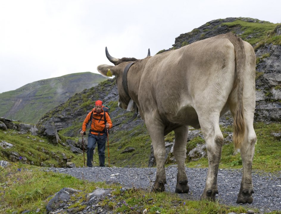 glarus wandelen zwitserland