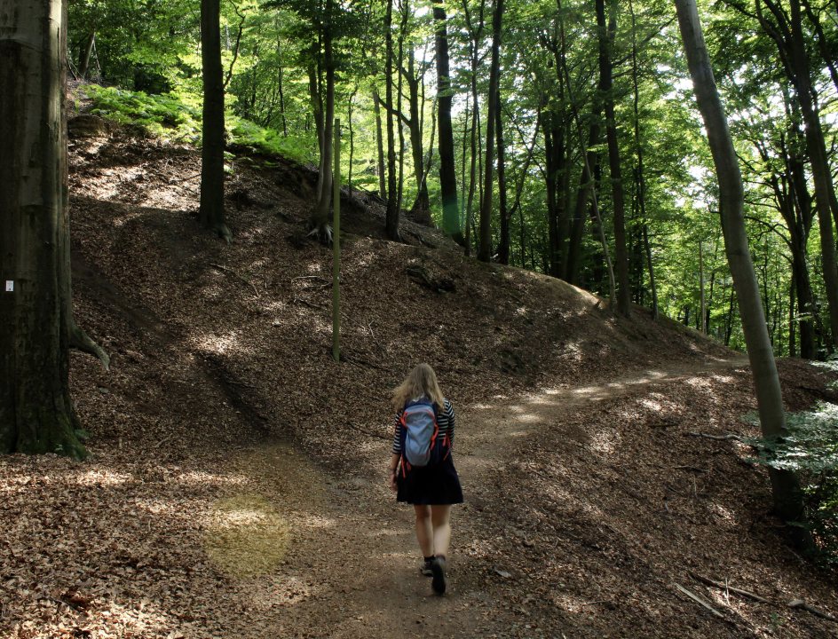 Teutoburgerwoud wandelen