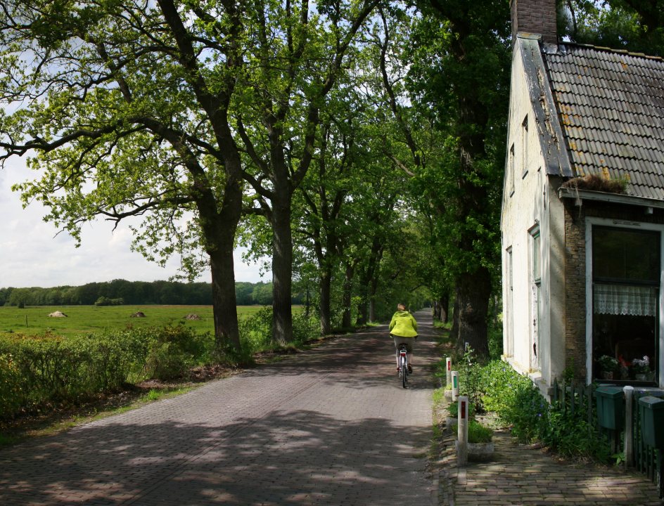 fietsen friesland