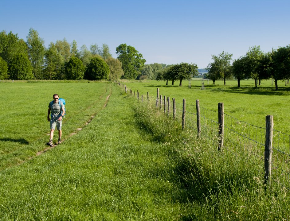 Dutch Mountain Trail wandelroute