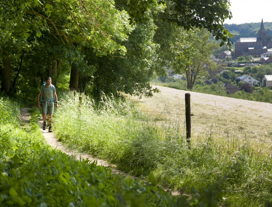 Dutch Mountain Trail wandelroute