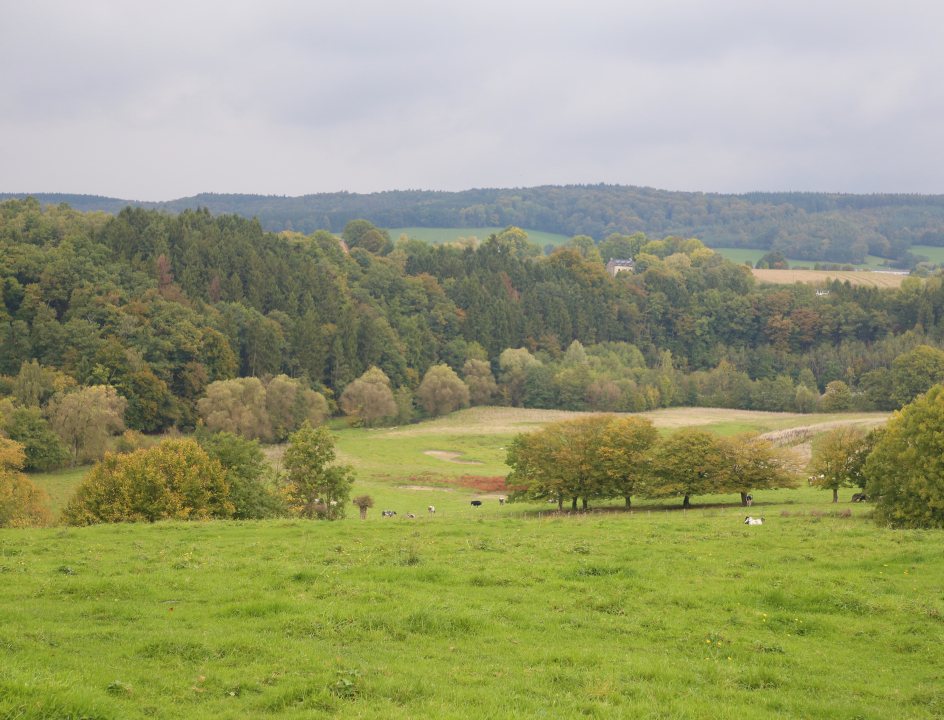 Edelherttrail Wandelroute Zuid-Limburg-Monschau