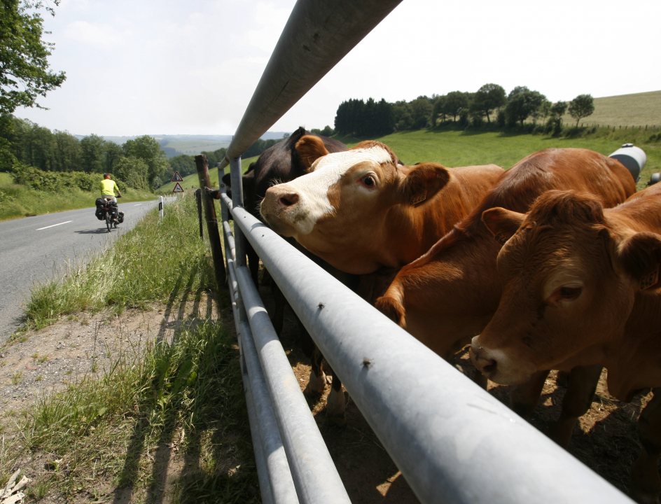 Fietsen vanuit Maastricht door 4 landen