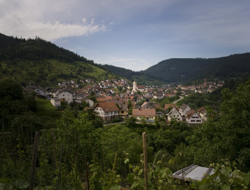 Fietsroute Schwarzwaldradweg Zwarte Woud