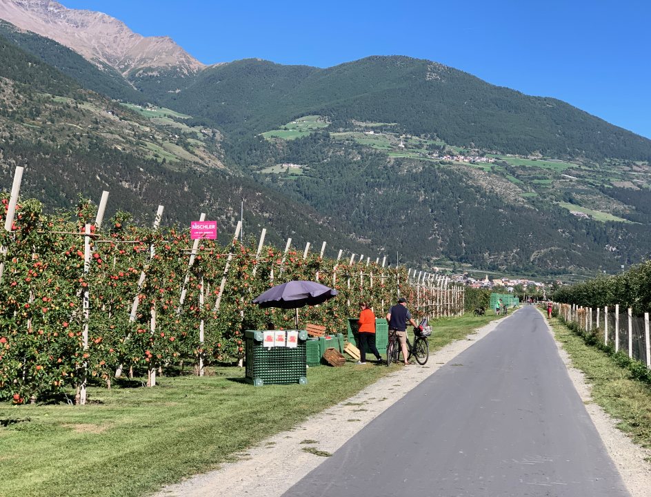 Appelgaard Zuid-Tirol