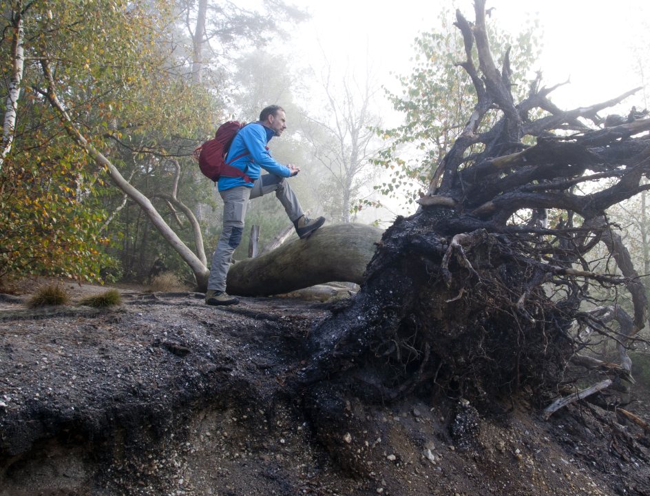 Wandelroute Sallandse Toppentocht