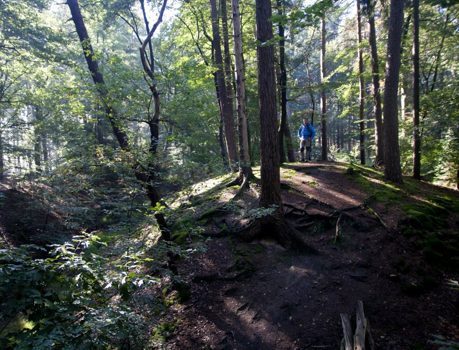 Wandelroute Sallandse Toppentocht
