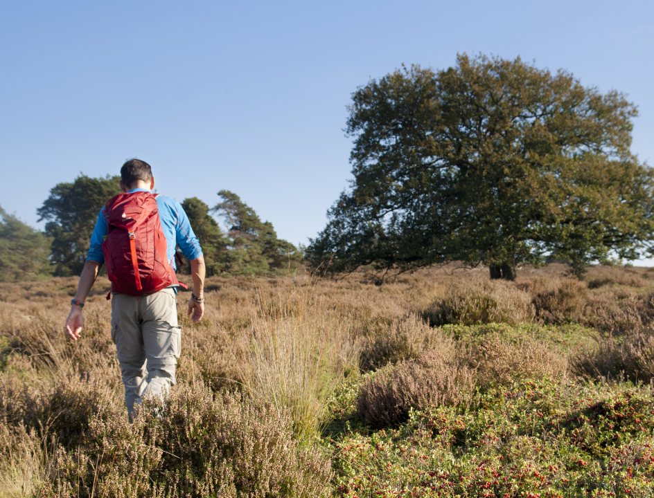 Wandelroute Sallandse Toppentocht