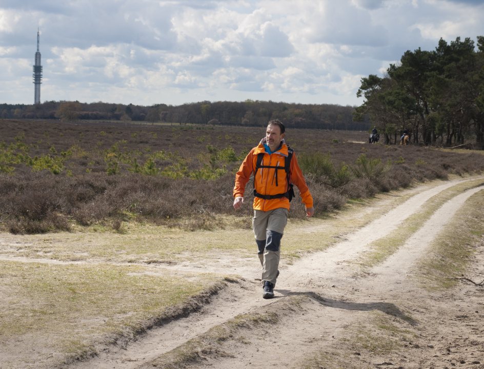 Wandelen Nederland Utrechtse Heuvelrug