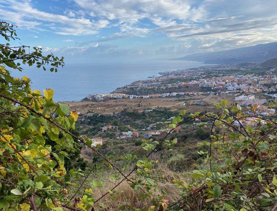 Spanje Tenerife wandelen