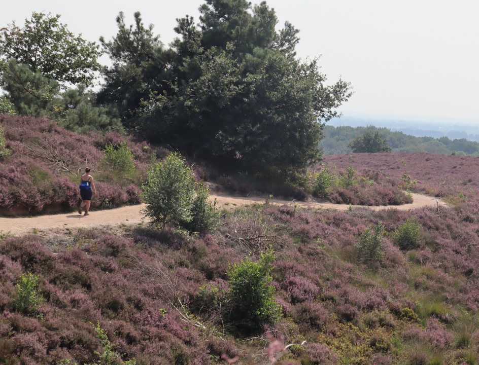 Nederland Veluwe wandelen streekpad