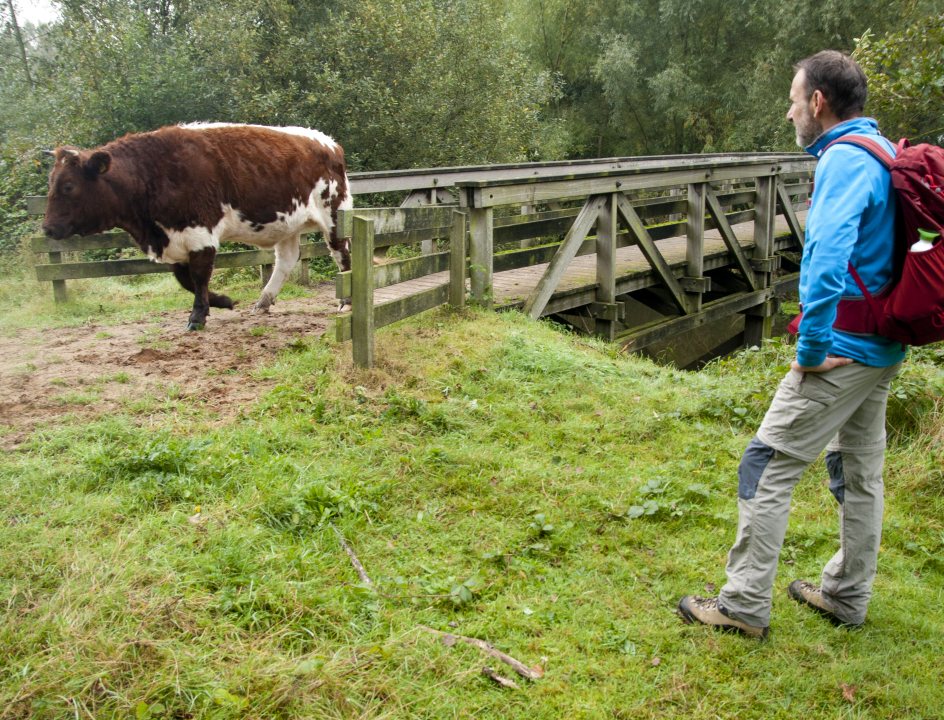 Wandelroute Sallandse Toppentocht