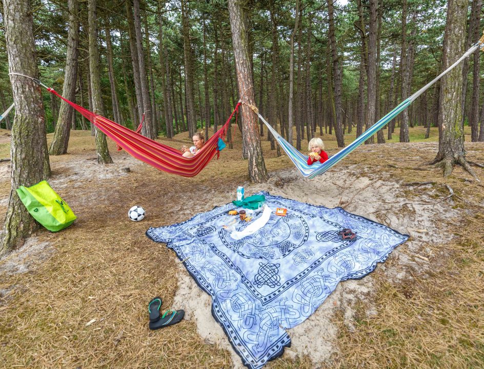 Hangmatten in het bos