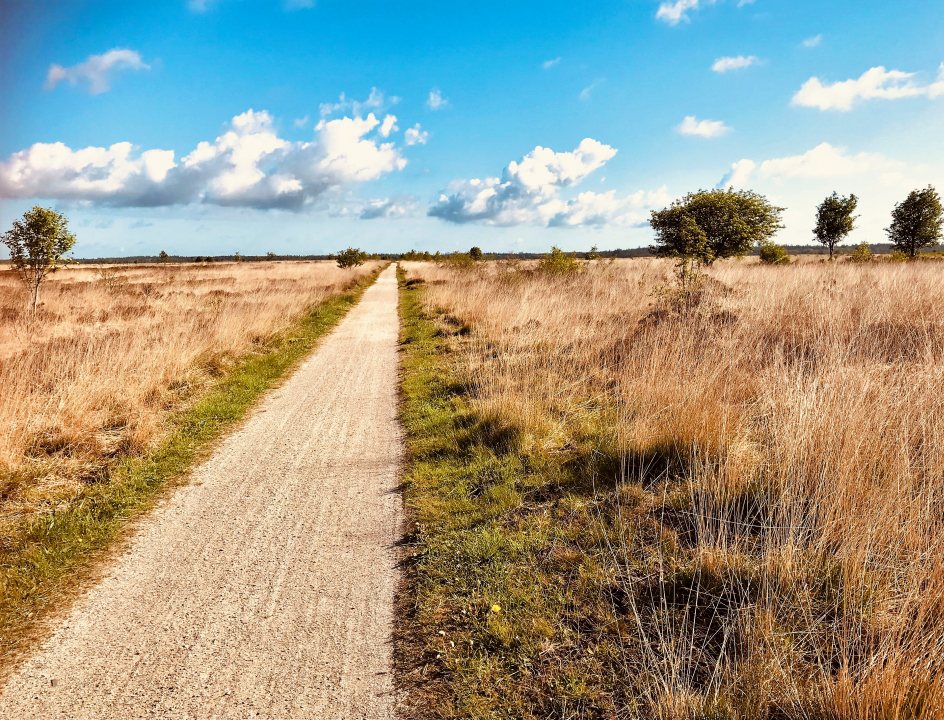 Fietspad door het Fochteloërveen.