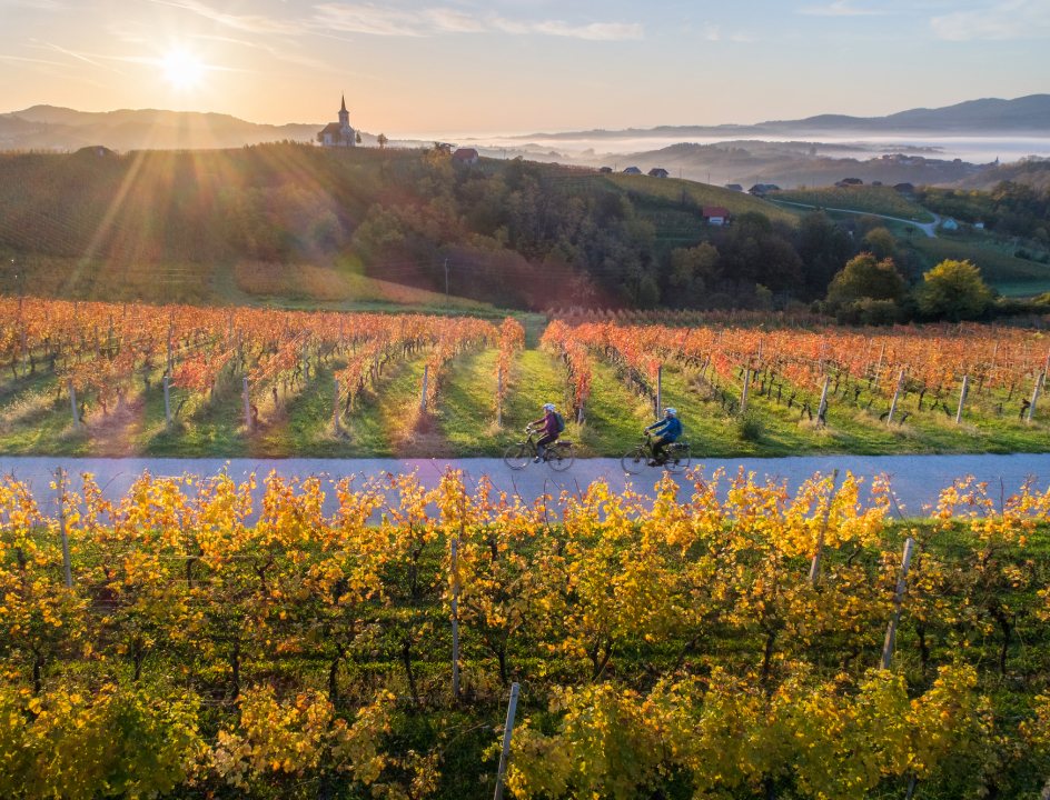 Fietsen in Slovennië