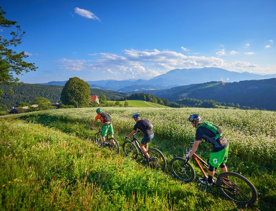Fietsen in Slovenië