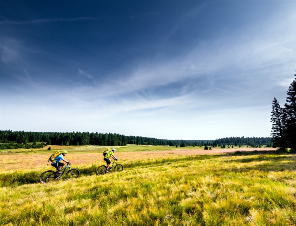 Fietsen in Tsjechië