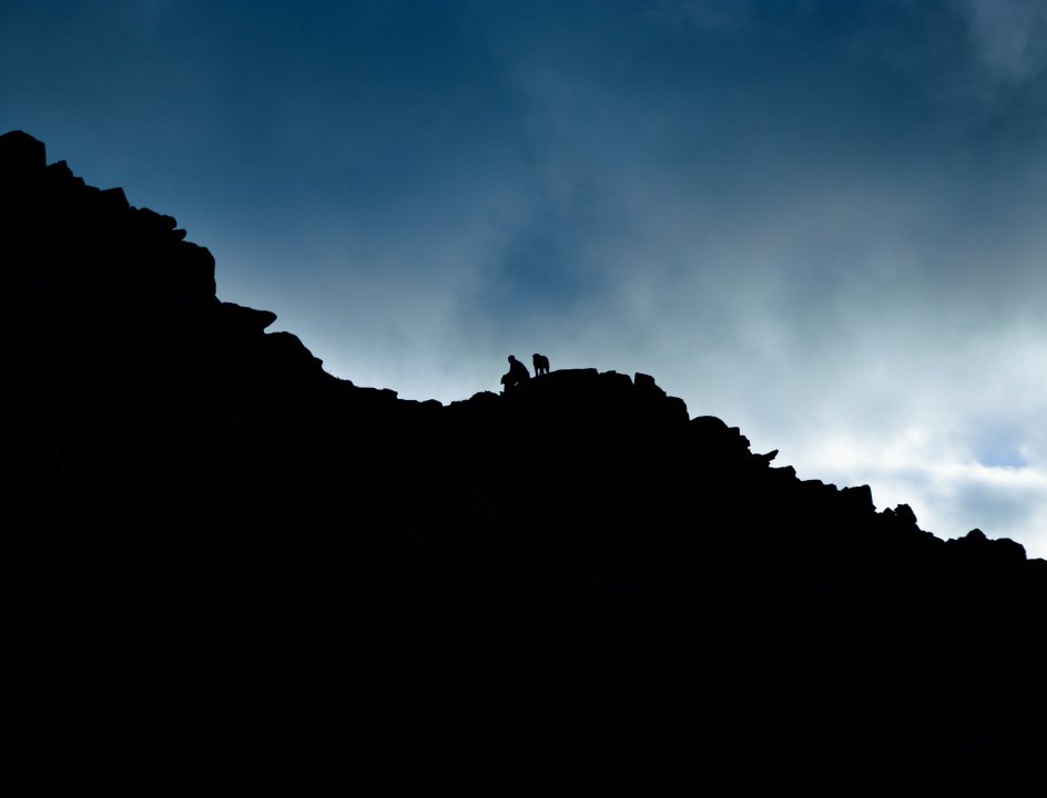 Huttentocht met hond