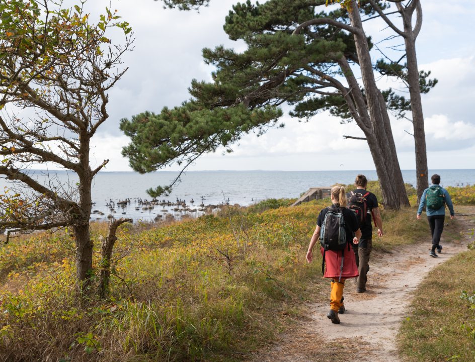 Wandelen in Zuid-Zweden 