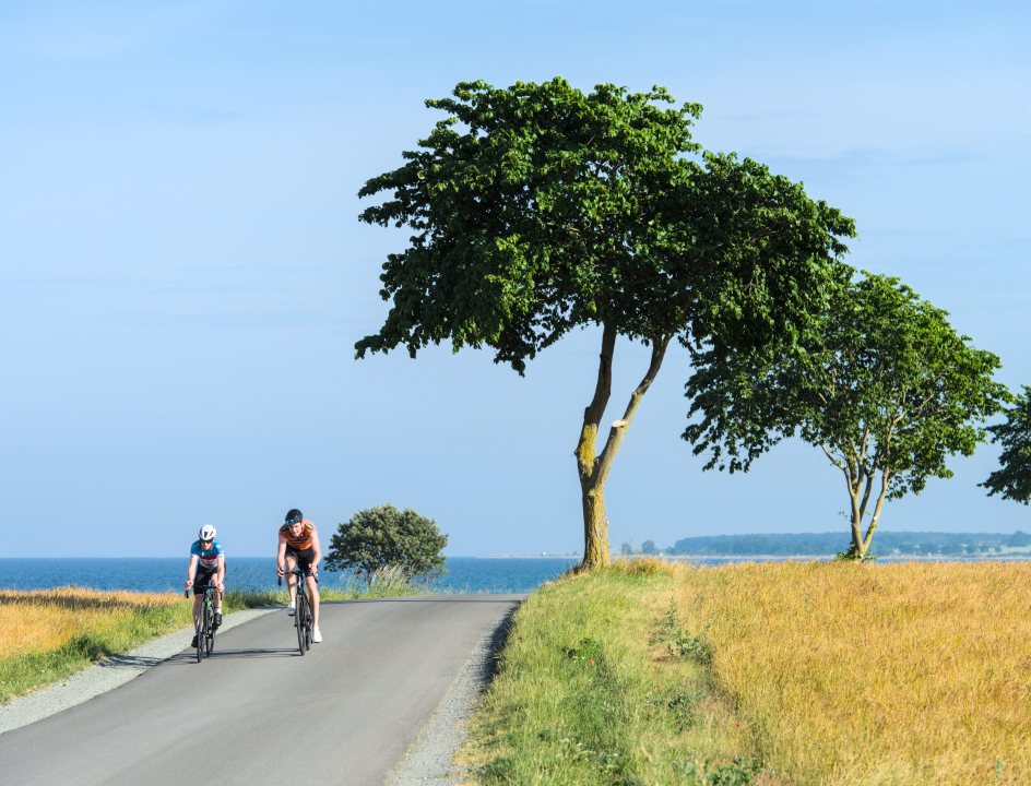 Kastelenroute Denemarken